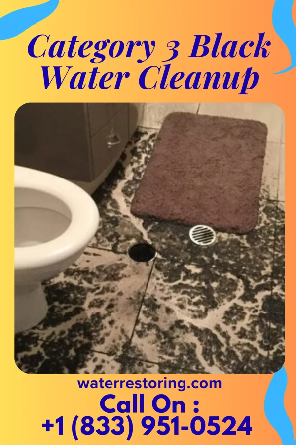 Category 3 Black Water Cleanup in Campbellsport, WI