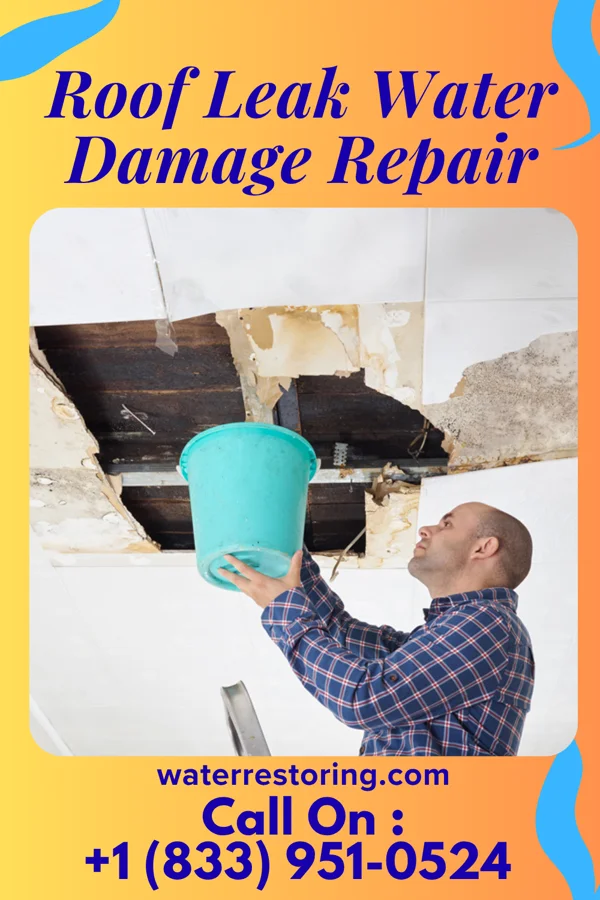 Roof Leak Water Damage Repair in Campbellsport, WI