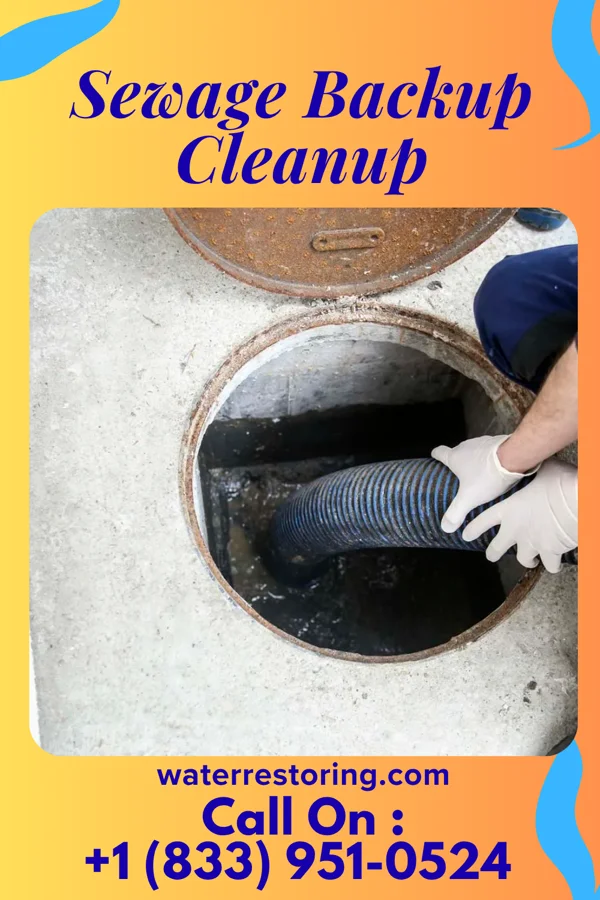 Sewage Backup Cleanup in Campbellsport, WI